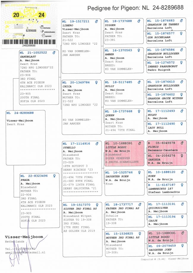 Pedigree