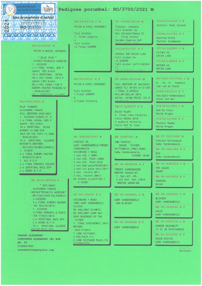 Pedigree