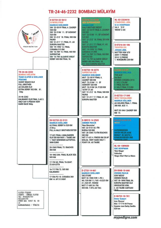 Pedigree