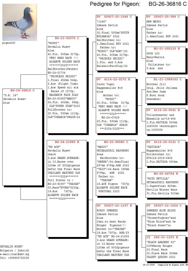 Pedigree