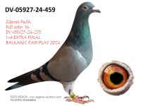 Pigeon auction 1970-01-01